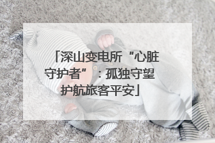 深山变电所“心脏守护者”：孤独守望护航旅客平安