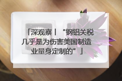 深观察丨“钢铝关税几乎是为伤害美国制造业量身定制的”