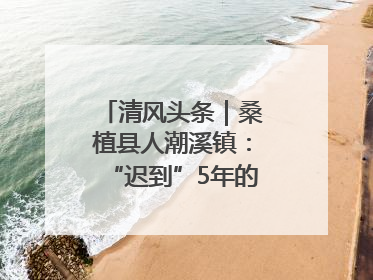 清风头条｜桑植县人潮溪镇：“迟到”5年的生态林补偿金