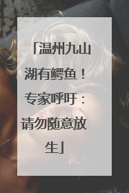 温州九山湖有鳄鱼！专家呼吁：请勿随意放生