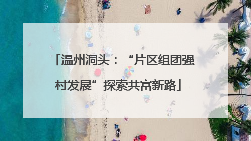 温州洞头：“片区组团强村发展”探索共富新路