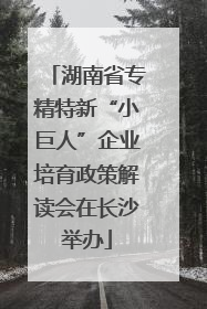 湖南省专精特新“小巨人”企业培育政策解读会在长沙举办