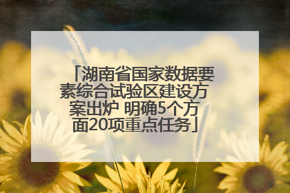 湖南省国家数据要素综合试验区建设方案出炉 明确5个方面20项重点任务