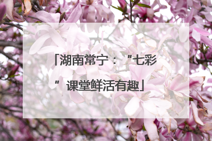 湖南常宁：“七彩”课堂鲜活有趣