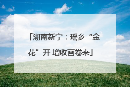 湖南新宁：瑶乡“金花”开 增收画卷来