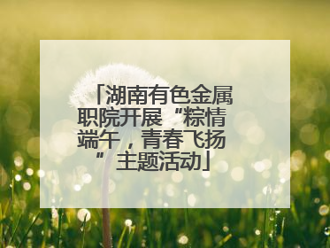 湖南有色金属职院开展“粽情端午，青春飞扬”主题活动