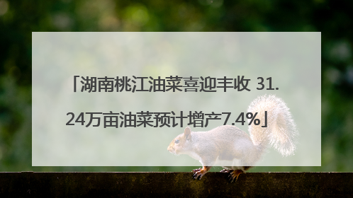 湖南桃江油菜喜迎丰收 31.24万亩油菜预计增产7.4%