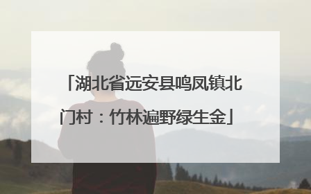 湖北省远安县鸣凤镇北门村：竹林遍野绿生金
