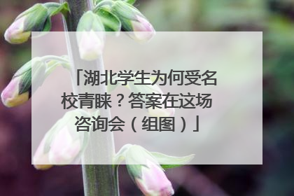 湖北学生为何受名校青睐？答案在这场咨询会（组图）