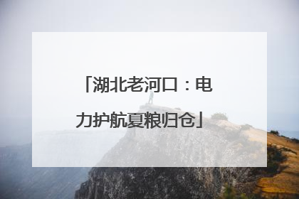 湖北老河口：电力护航夏粮归仓