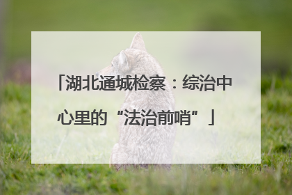 湖北通城检察：综治中心里的“法治前哨”
