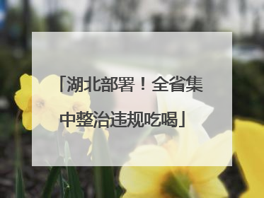 湖北部署！全省集中整治违规吃喝