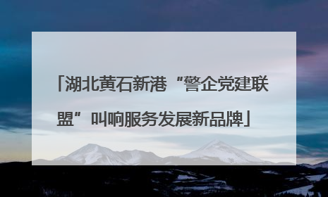 湖北黄石新港“警企党建联盟”叫响服务发展新品牌