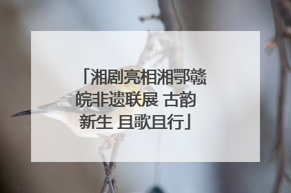 湘剧亮相湘鄂赣皖非遗联展 古韵新生 且歌且行