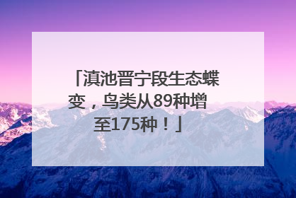 滇池晋宁段生态蝶变，鸟类从89种增至175种！