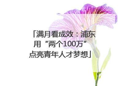 满月看成效：浦东用“两个100万”点亮青年人才梦想