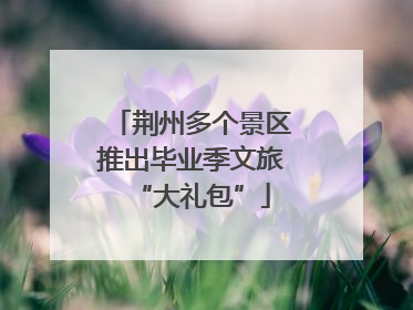 荆州多个景区推出毕业季文旅“大礼包”