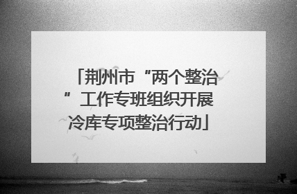 荆州市“两个整治”工作专班组织开展冷库专项整治行动