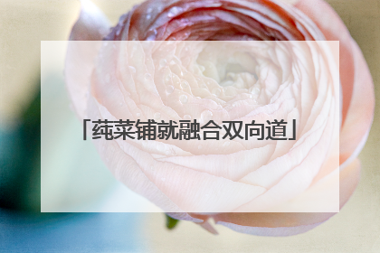 莼菜铺就融合双向道