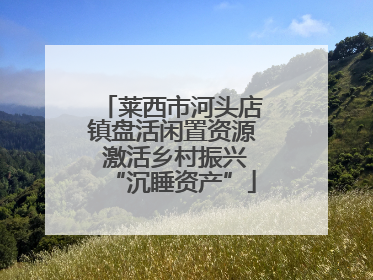 莱西市河头店镇盘活闲置资源 激活乡村振兴“沉睡资产”