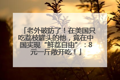 老外破防了！在美国只吃荔枝罐头的他，竟在中国实现“鲜荔自由”：8元一斤敞开吃！