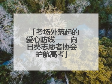 考场外筑起的爱心防线——向日葵志愿者协会护航高考