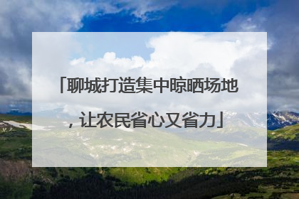 聊城打造集中晾晒场地，让农民省心又省力