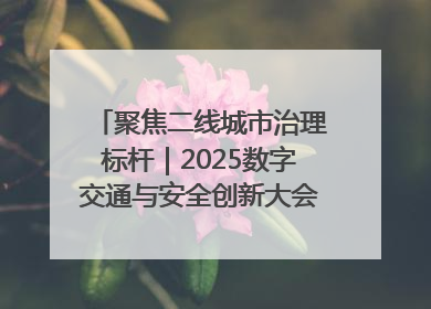 聚焦二线城市治理标杆｜2025数字交通与安全创新大会在保定隆重开幕