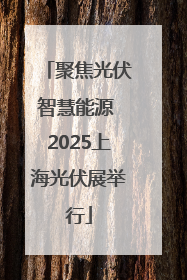 聚焦光伏智慧能源 2025上海光伏展举行