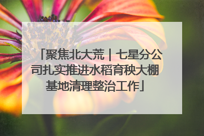 聚焦北大荒｜七星分公司扎实推进水稻育秧大棚基地清理整治工作