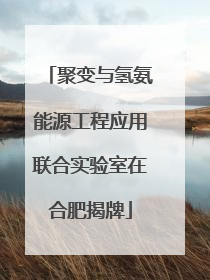 聚变与氢氨能源工程应用联合实验室在合肥揭牌