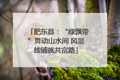 肥东县：“绿飘带”舞动山水间 风景线铺就共富路