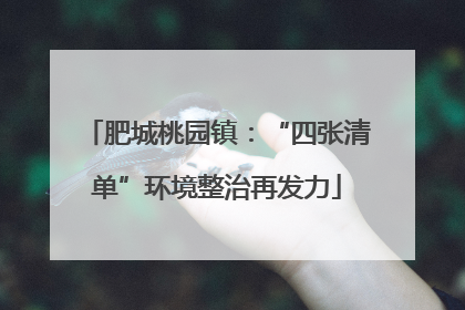 肥城桃园镇：“四张清单”环境整治再发力