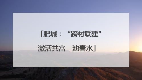 肥城：“跨村联建”激活共富一池春水