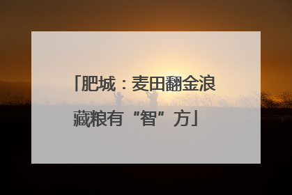 肥城：麦田翻金浪藏粮有“智”方