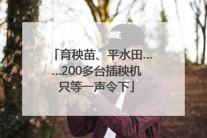 育秧苗、平水田……200多台插秧机只等一声令下
