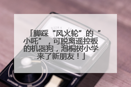 脚踩“风火轮”的“小吒”，可脱离遥控板的机器狗，泡桐树小学来了新朋友！