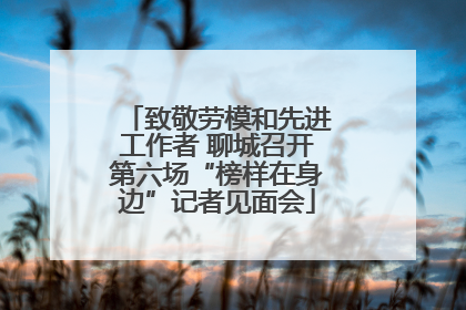 致敬劳模和先进工作者 聊城召开第六场“榜样在身边”记者见面会