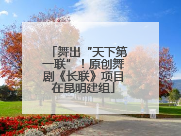 舞出“天下第一联”！原创舞剧《长联》项目在昆明建组