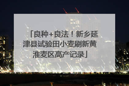良种+良法！新乡延津县试验田小麦刷新黄淮麦区高产记录