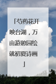 芍药花开映台湖，万亩游憩园绘就初夏诗画