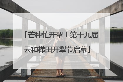 芒种忙开犁！第十九届云和梯田开犁节启幕