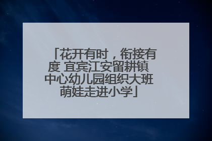 花开有时，衔接有度 宜宾江安留耕镇中心幼儿园组织大班萌娃走进小学