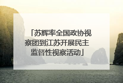 苏辉率全国政协视察团到江苏开展民主监督性视察活动