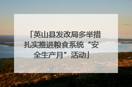 英山县发改局多举措扎实推进粮食系统“安全生产月”活动