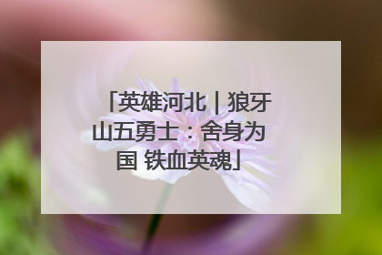 英雄河北｜狼牙山五勇士：舍身为国 铁血英魂