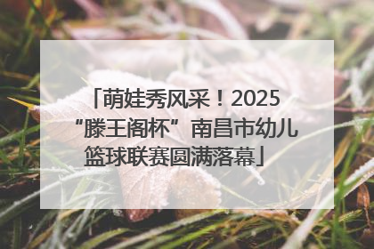 萌娃秀风采！2025“滕王阁杯”南昌市幼儿篮球联赛圆满落幕
