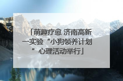 萌趣疗愈 济南高新一实验“小狗领养计划”心理活动举行