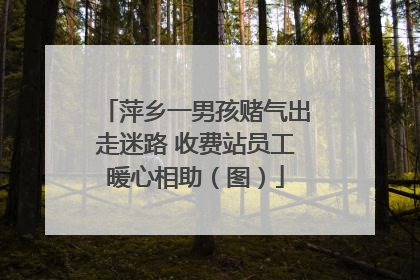 萍乡一男孩赌气出走迷路 收费站员工暖心相助（图）