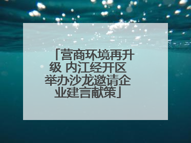 营商环境再升级 内江经开区举办沙龙邀请企业建言献策